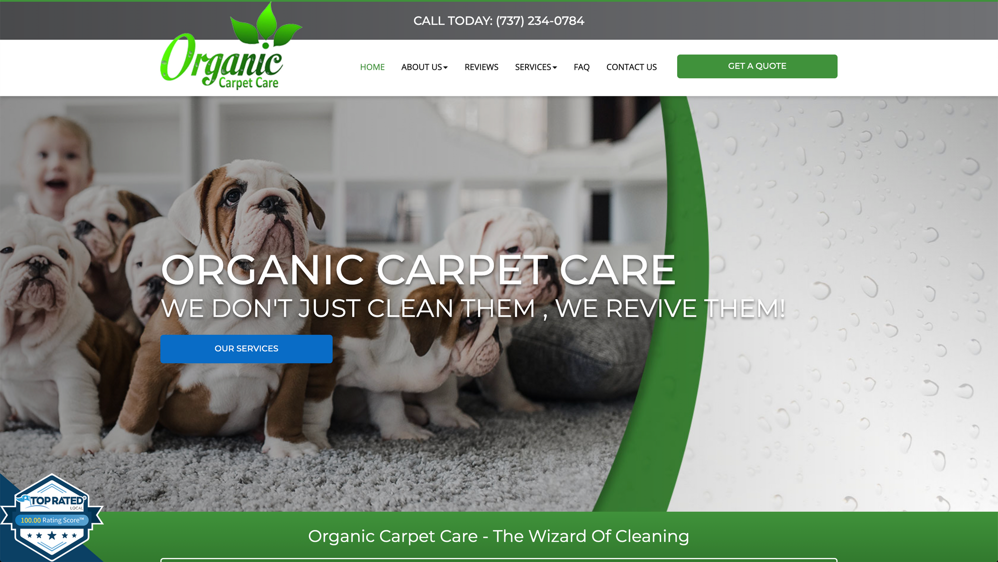 Organic Carpet Care